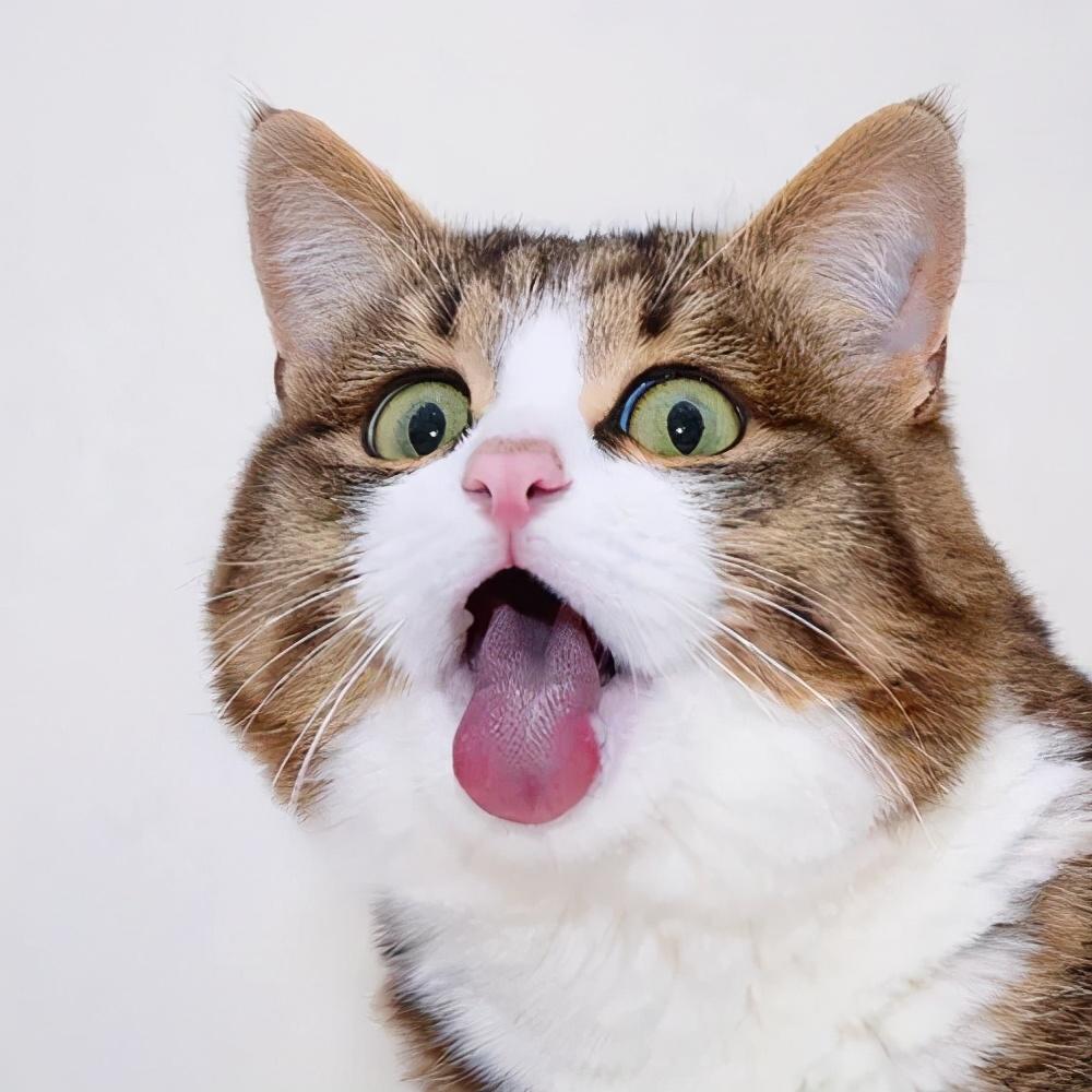 震惊全网（足球决赛决赛}密克罗尼西亚对峙西班牙比分失分榜排名-独家观察