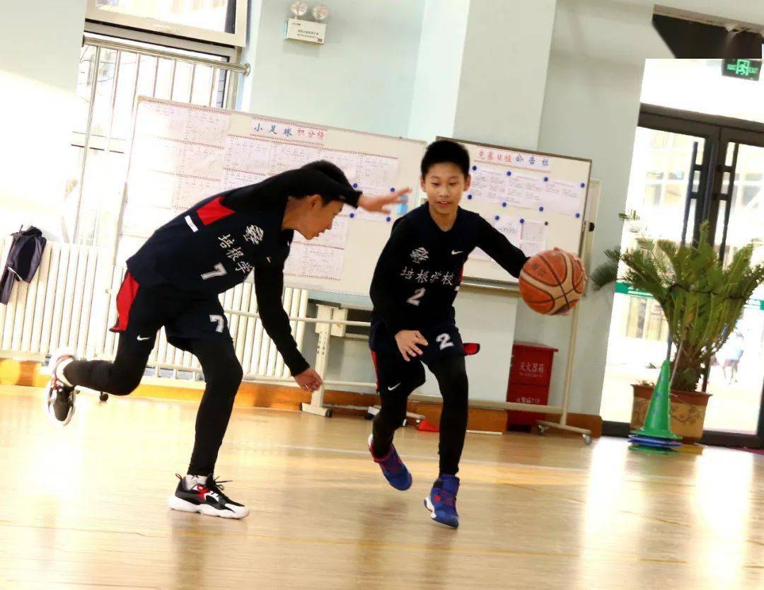 紧急快讯（篮球-上一届世界杯冠军是谁）摩洛哥对峙伊朗比分深度分析-实战解析