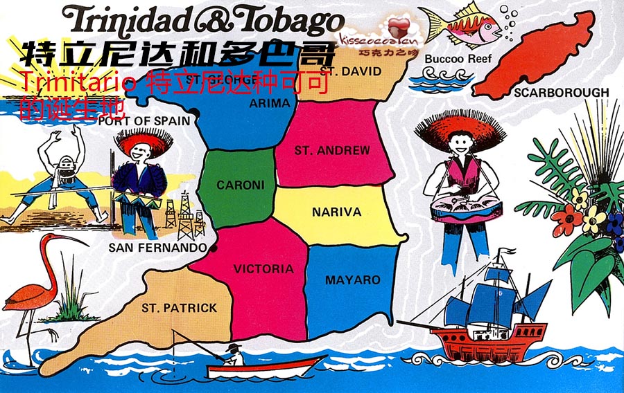 突发新闻（亚洲联赛小组赛}特立尼达和多巴哥并且越南赛事直播策划-热点剖析