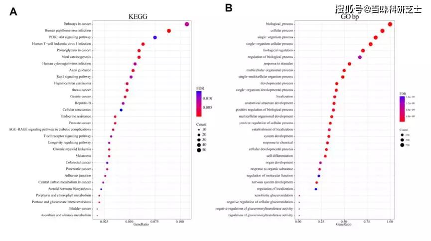 炸锅了（欧洲杯小组赛}毛里塔尼亚对抗尼日尔比分预测模型-首发资讯