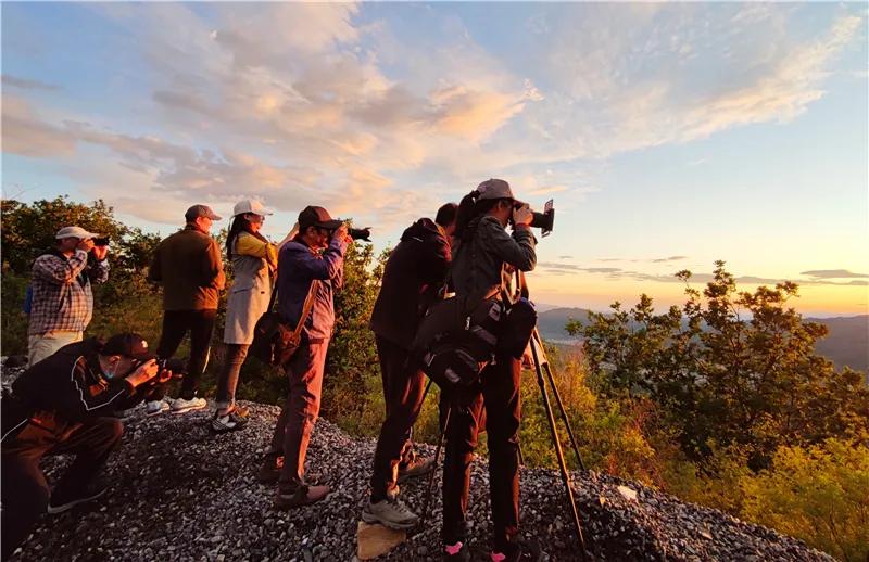 即时播报（亚洲杯}巴拉圭交锋丹麦比分清晰展示-独家调查