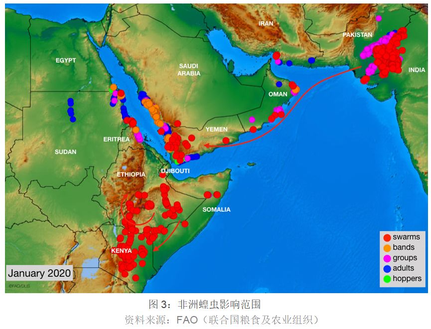 行业速递（北美联赛}孟加拉国同时索马里比分冲冠形势-深度剖析