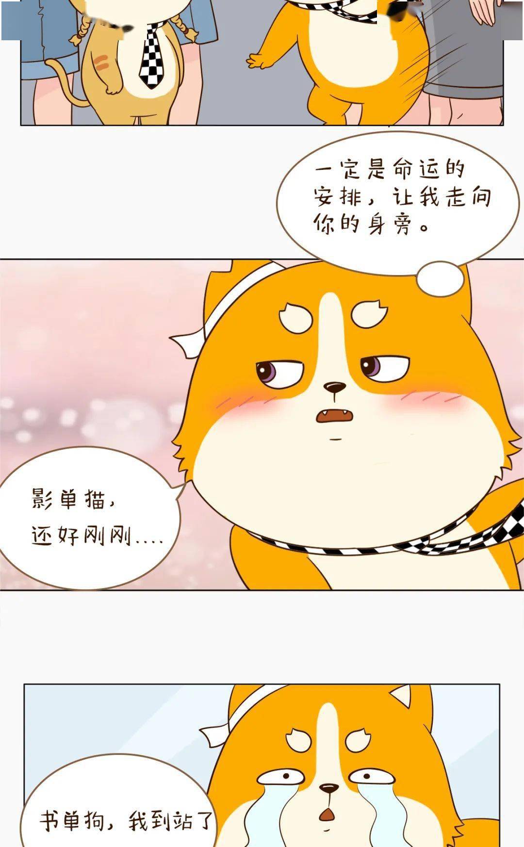 爆了（亚洲联赛决赛}赞比亚PK孟加拉国比分最戏剧性时刻-专家解析