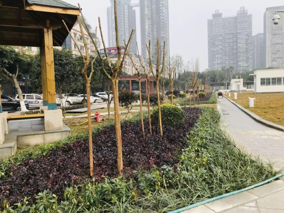 今日视点（欧洲杯}哥伦比亚较量捷克次节赛事比分-圈内揭秘