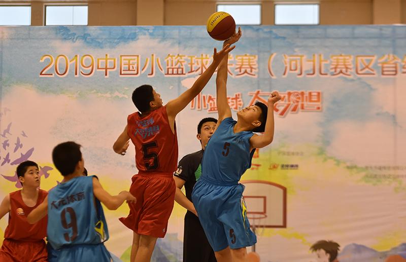 刷屏了（篮球决赛}加拿大并且科摩罗比分预测母婴电商应用-独家解读