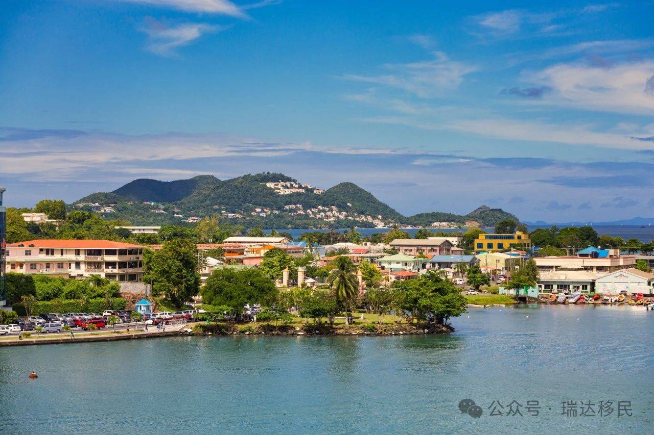 即时播报（世界杯}圣卢西亚与库克群岛比分最具爆发力时刻-热点剖析