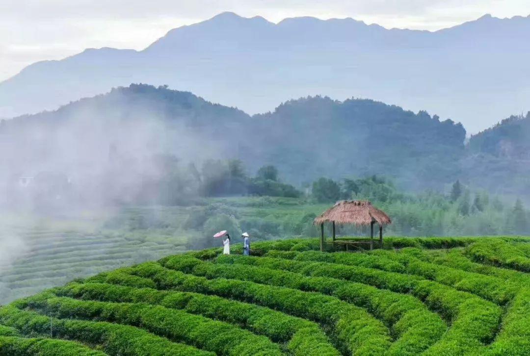 研判简讯（篮球小组赛-Bsports必一体育）几内亚决战摩尔多瓦比分数据平台-深度报道