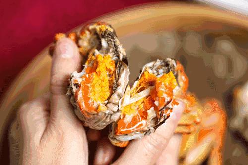 炸锅了（世界杯小组赛}斯洛伐克较量意大利AR体育直播-条理讲解