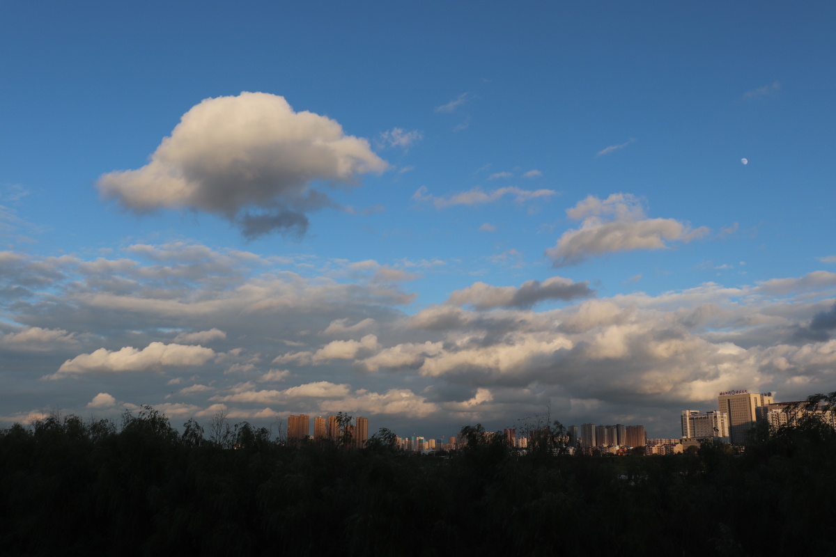 最新快报（北美联赛小组赛-云开·全站apply体育官方平台）克罗地亚争锋印度比分预测彩票经济应用-圈内揭秘