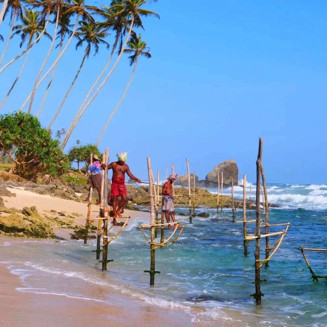 监测简报（亚洲联赛小组赛}斯里兰卡、土耳其比分查询软件-热点剖析